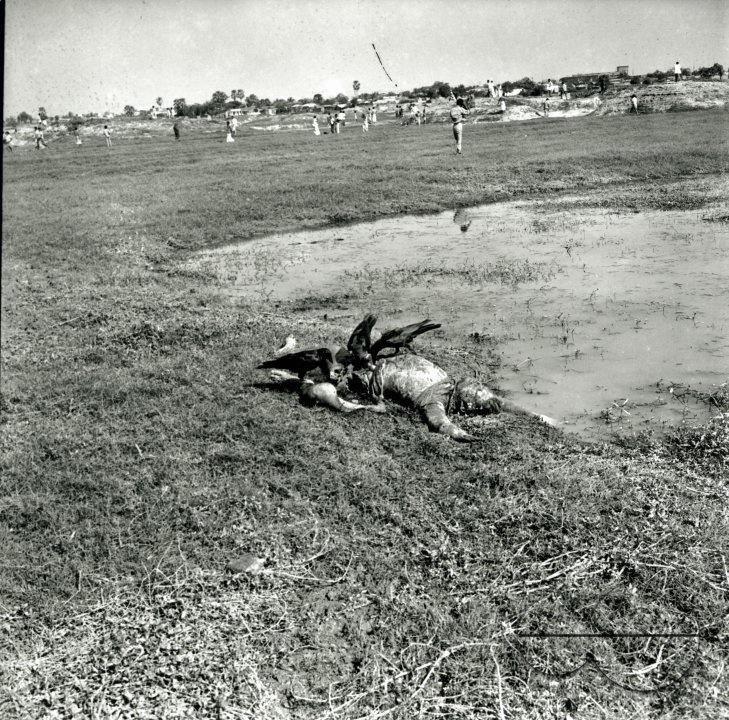 MWC008351