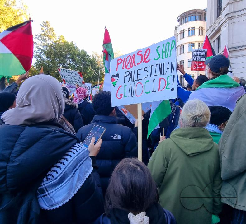 Over 300,000 Pro-Palestinians marched from Hyde Park to the USA embassy in London, on the afternoon of 11th November 2023, protesting against the war and urging an immediateÂ ceasefire