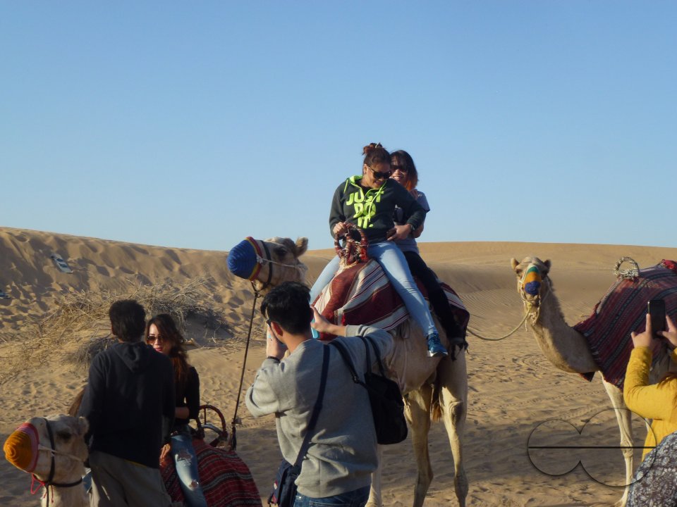Holiday in Dubai