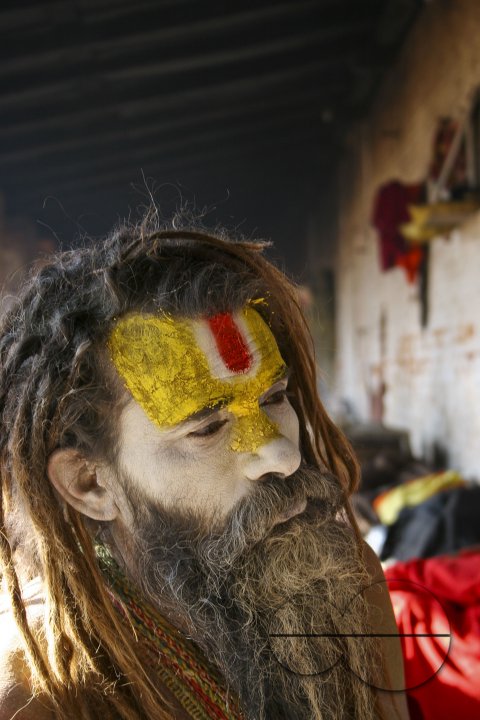 Maha Shivaratri