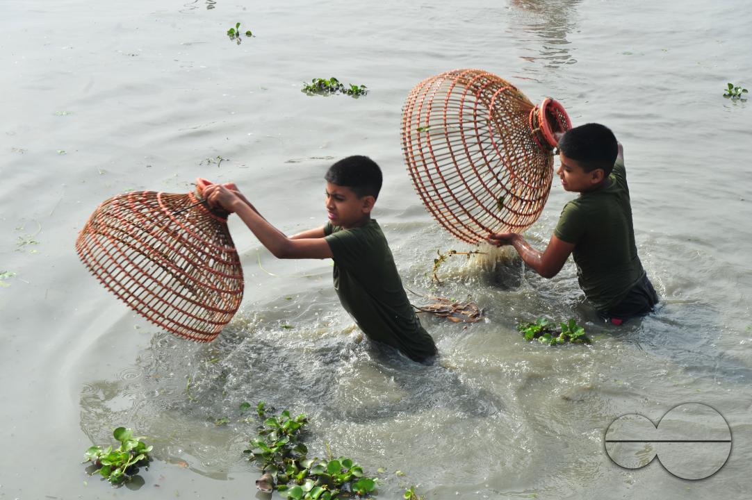 Rural people armed with Bamboo fish traps and handmade fishing nets take part in celebrating in a 100-year winter polo bawa fishing festival at the Gowahori beel of Biswanath upazila in Sylhet