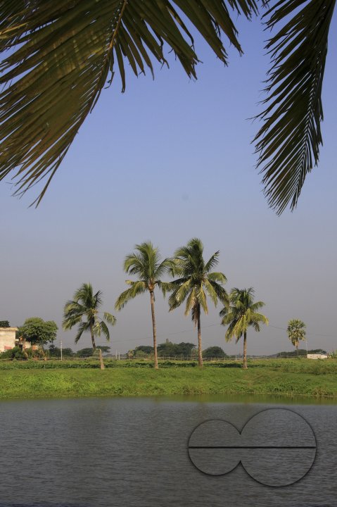 MWC020629