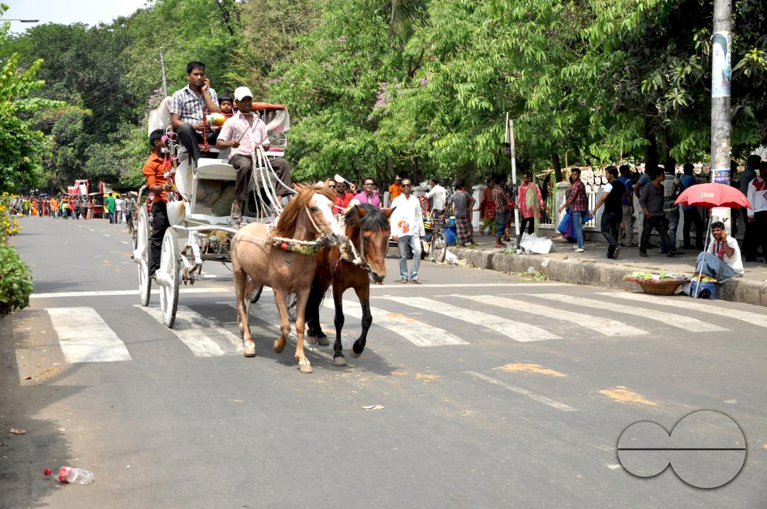 kite carriage is a special tradition of Boishakh at Shahbag, Ramna Dhaka