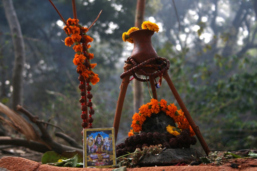 Sadhus, Religious Festivals, Nepal.