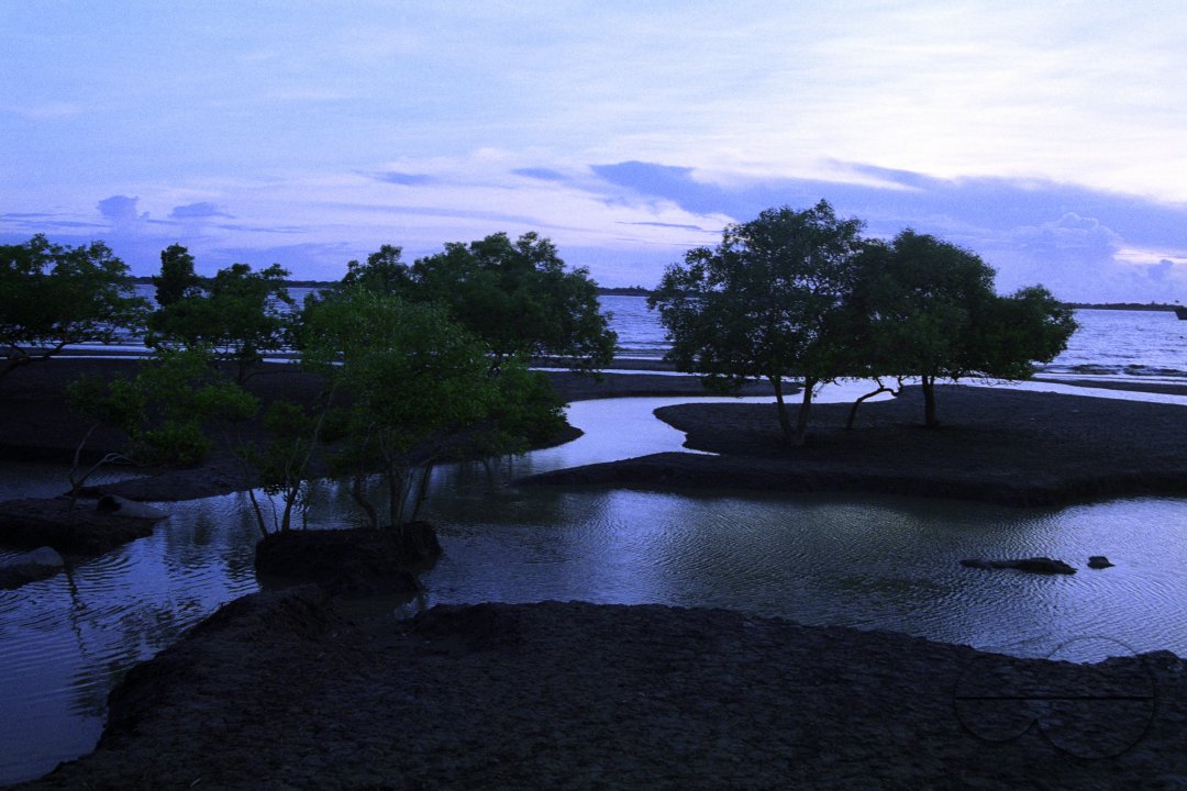 MWC020650