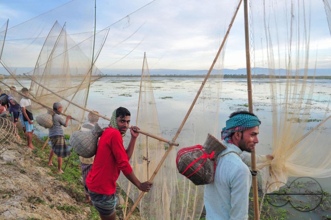 Rural people armed with Bamboo fish traps and nets take part in celebrating a 200-year winter fishing festival at the jofra beel of gasbari union of Kanaighat upazila of Sylhet, Bangladesh.