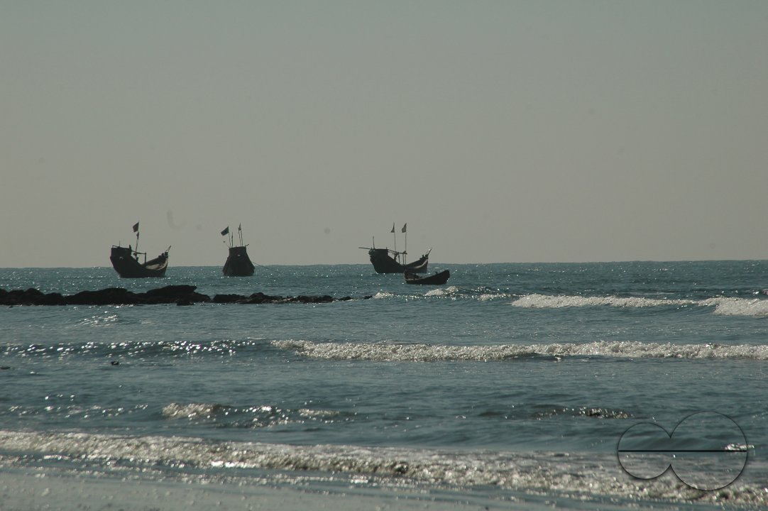 MWC018206