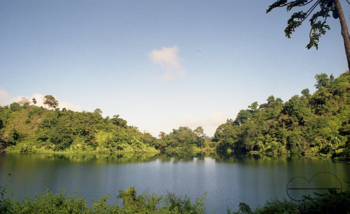 MWC003758