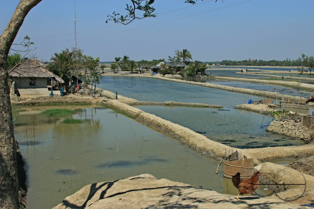MWC02974