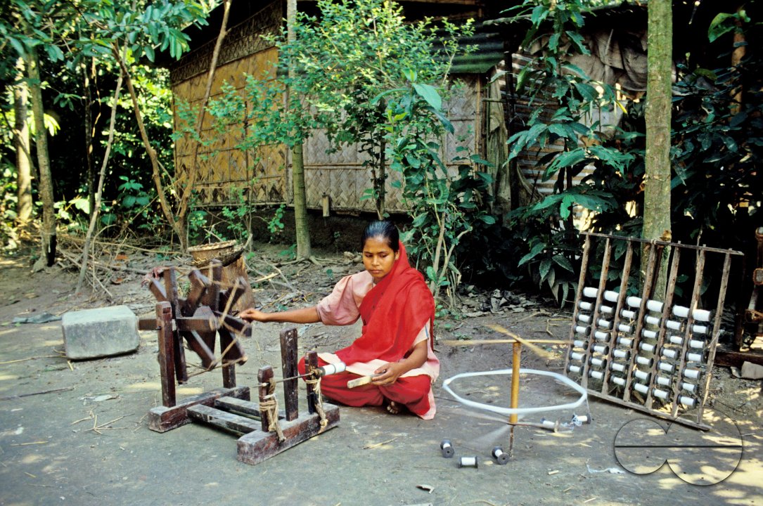 MWC013853