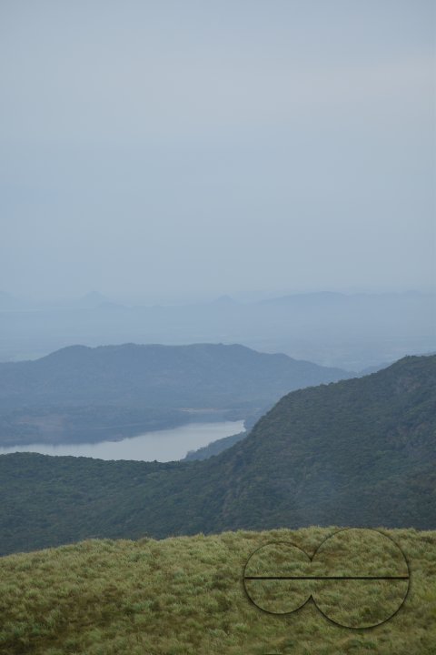 MWC031428