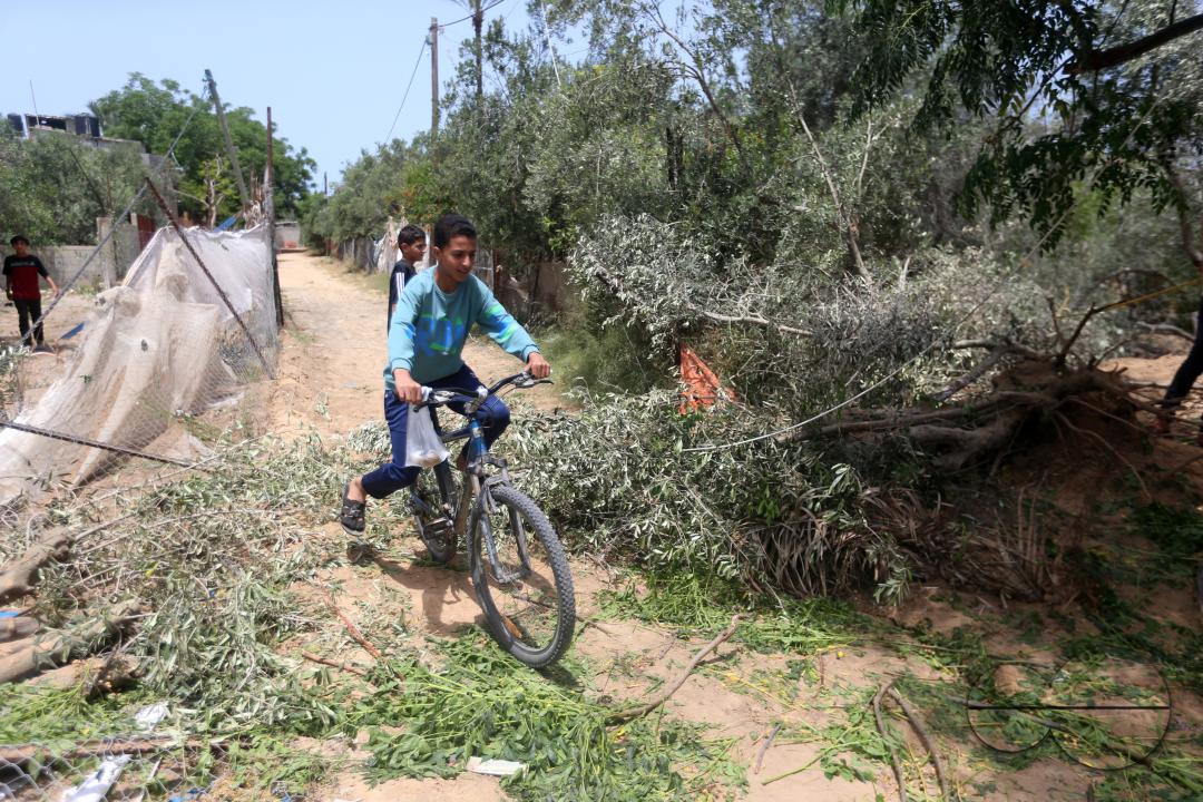 MWC055078