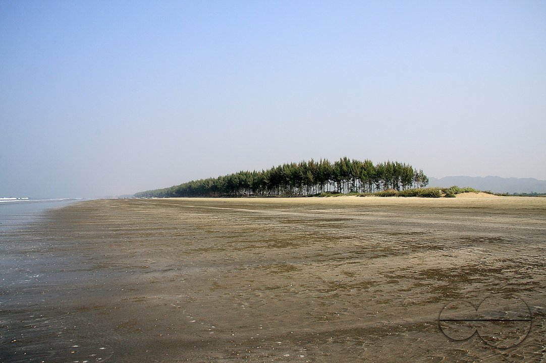 MWC028651