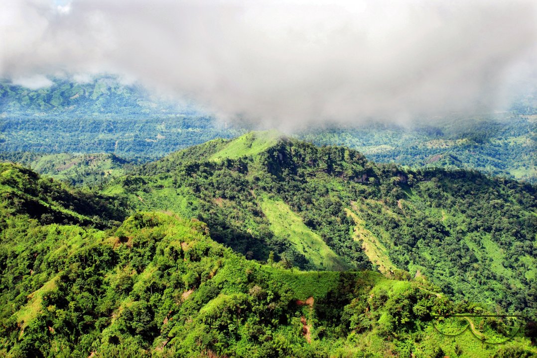 MWC004095