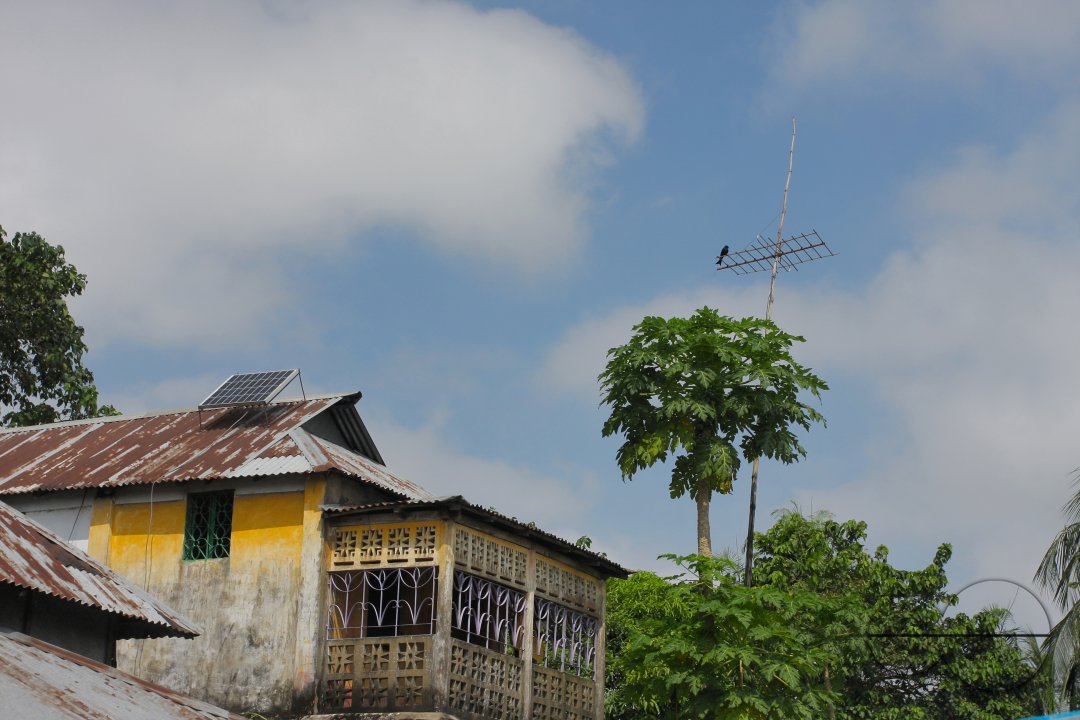 MWC004445