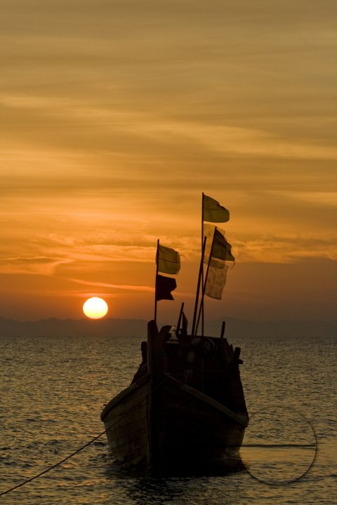 MWC003630