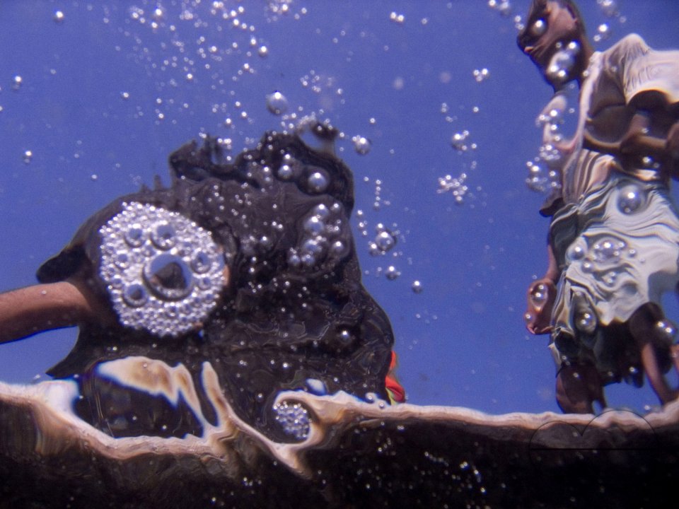 Looking through Fish-Eyes