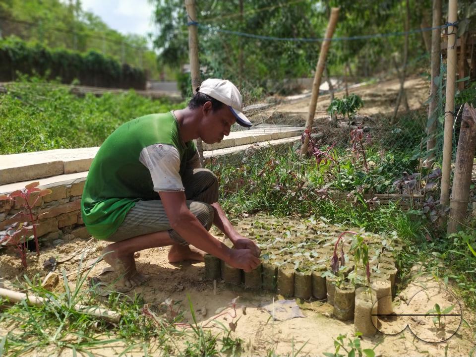 People plant vegetable and fruit trees for food at the Balukhali refugee camp