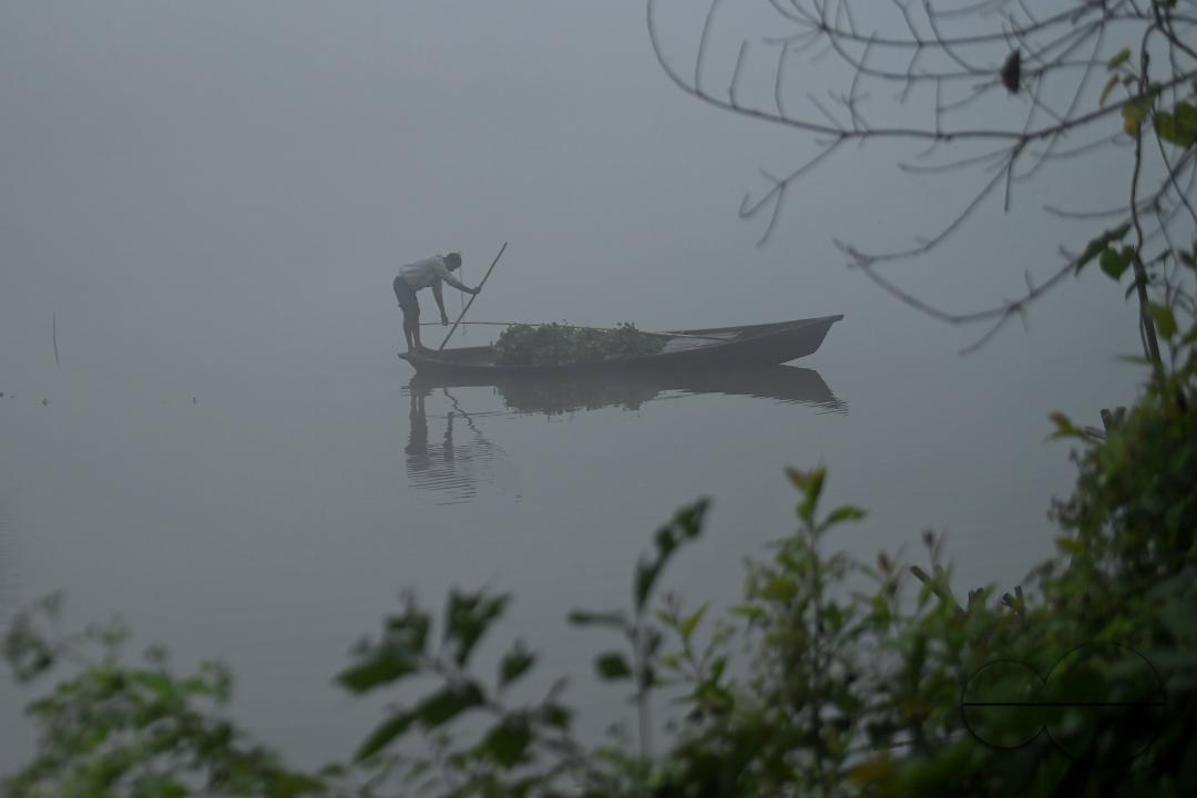 A worker collects plankton on a foggy morning at the MBB College lake at Agartala