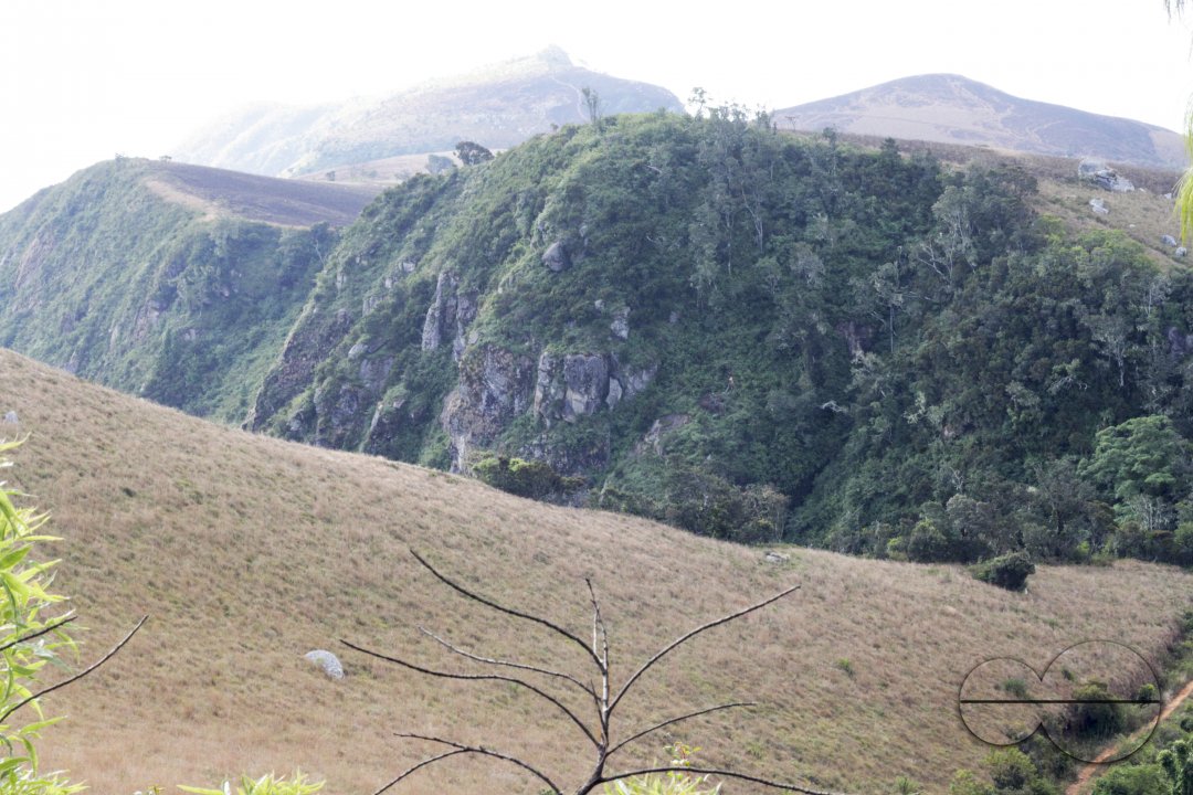 MWC041325