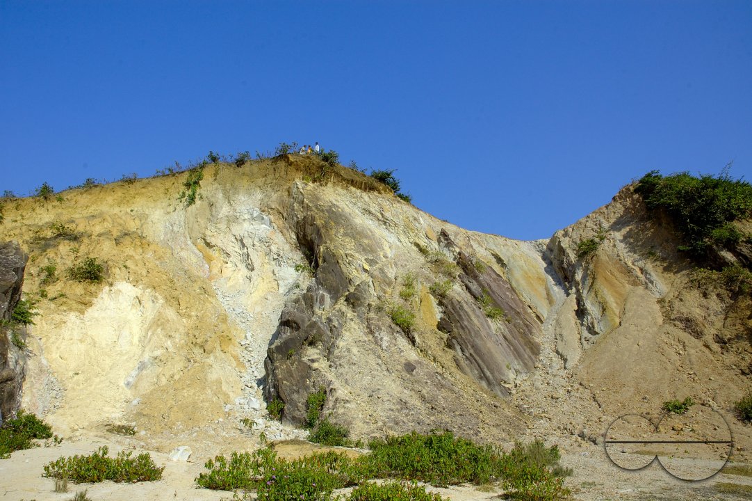MWC003871