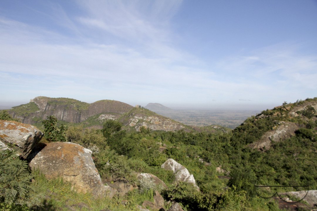 MWC041334