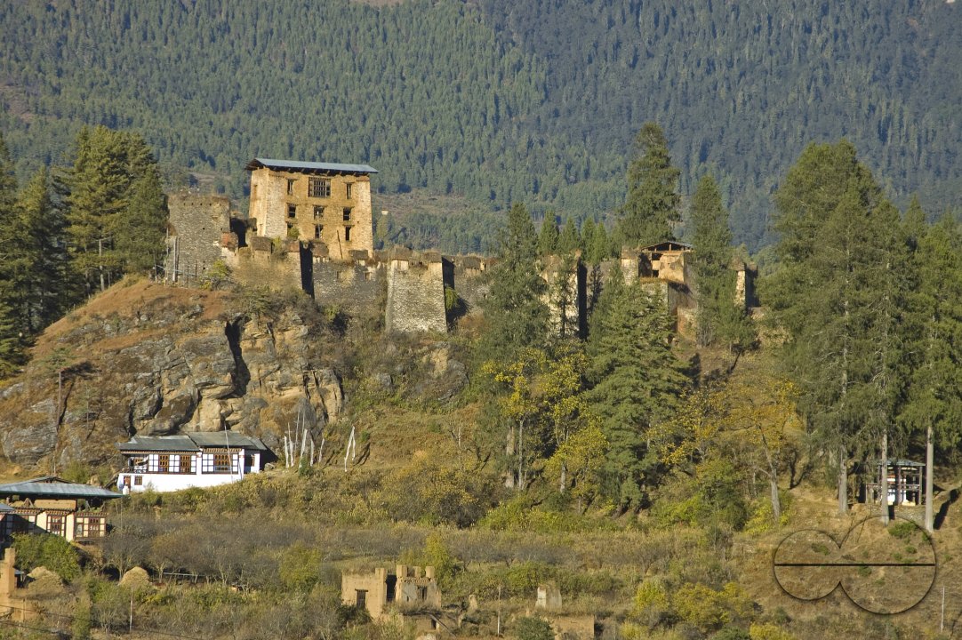 MWC012793