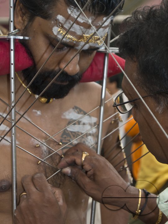 Thaipusam Hindu Tamil festival in Singapore. Devotees have their bodies pierced with skewers