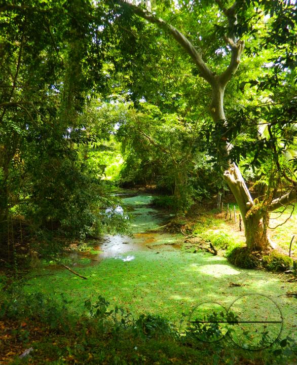 MWC052709