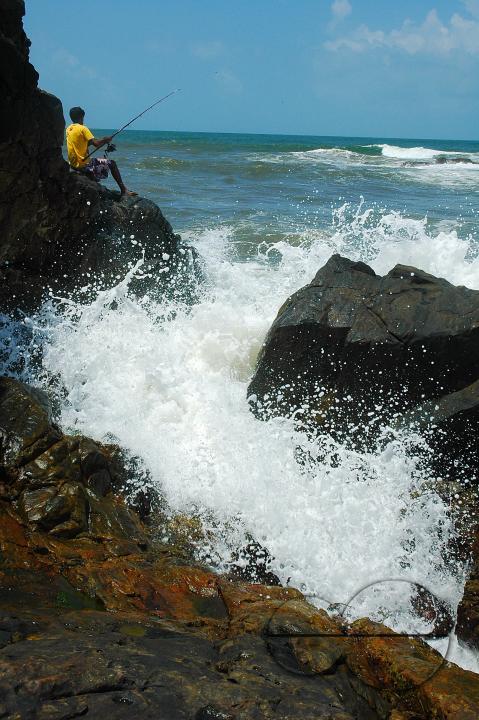 MWC059281