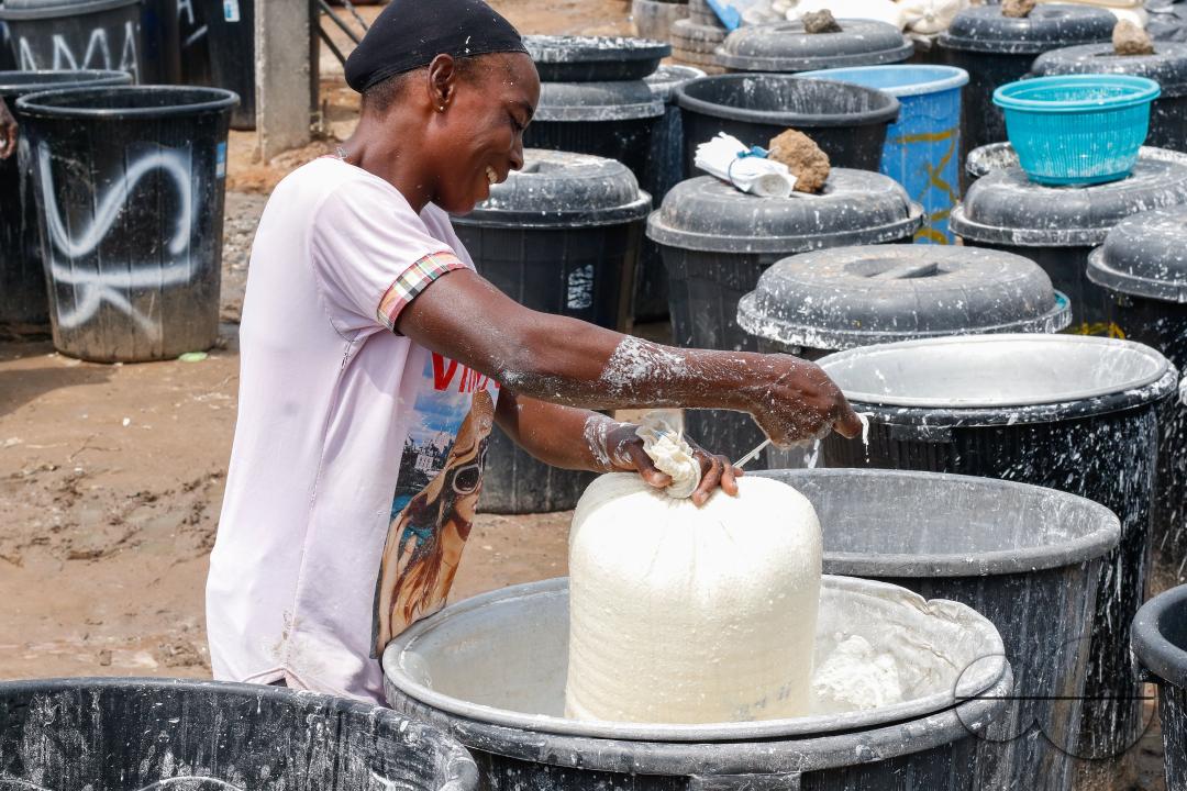 Females in Abuja are struggling and making strides in a local cassava processing factory under difficult conditions to produce flour as they wash out chaff from fermented cassava