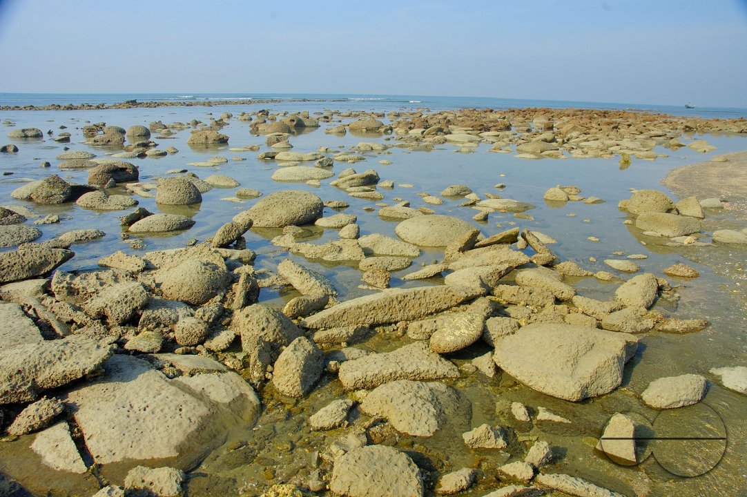 MWC003957