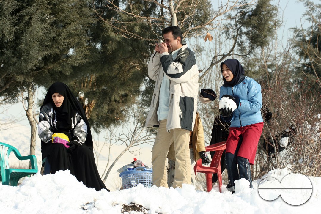 Iranian society