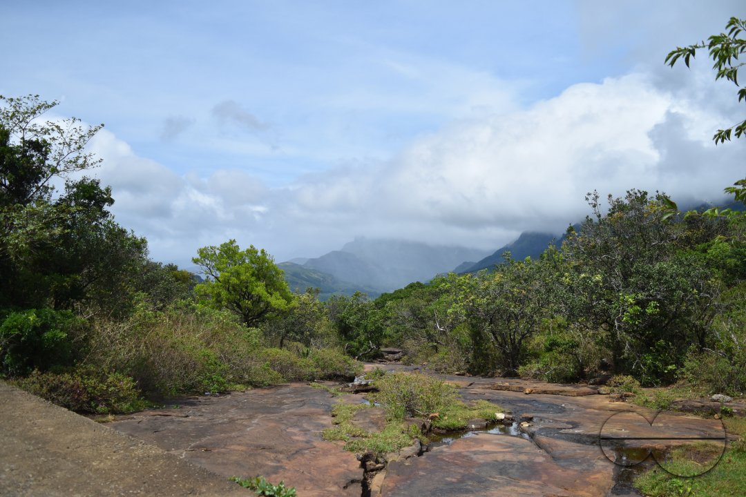 MWC031485