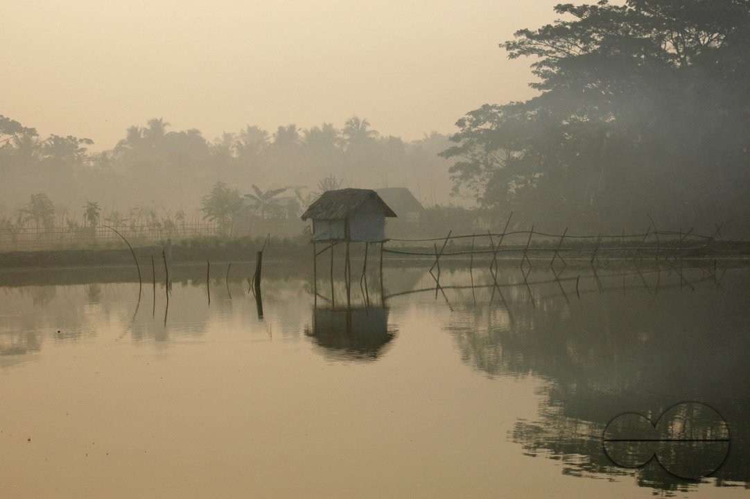MWC004167