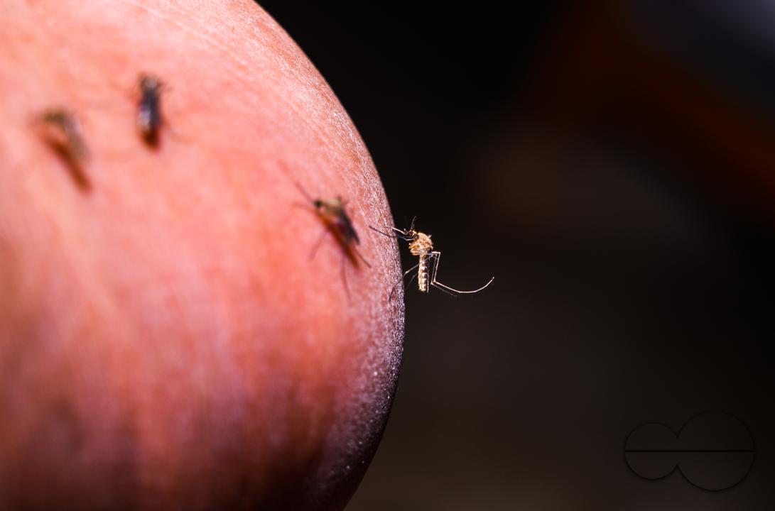 According to WHO's latest World Malaria Report, there were an estimated 249 million malaria cases in 85 malaria-endemic countries, and an increase of 58 per 1000 population risk and 608â000 malaria deaths worldwide in 2022