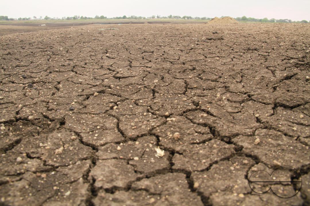 The Warapgaon village, located in Beed districtâs Ambajogai taluka, was in the grip of a deadly drought in 2015