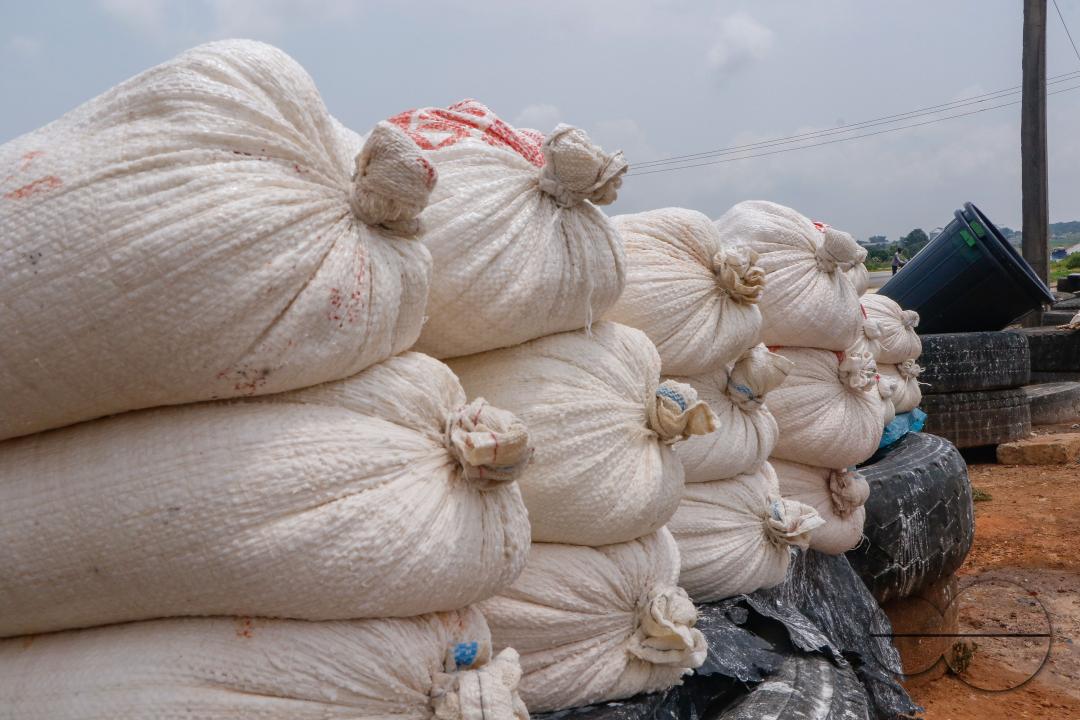 Females in Abuja are struggling and making strides in a local cassava processing factory under difficult conditions to produce flour as they wash out chaff from fermented cassava