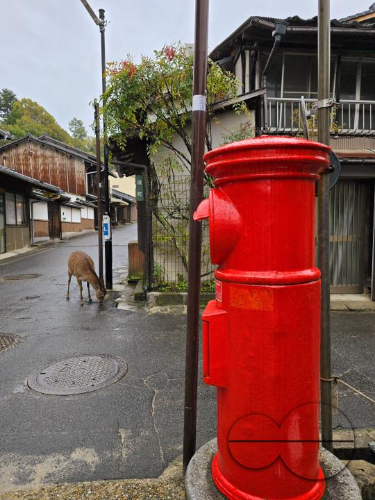 The Itsukushima Shrine