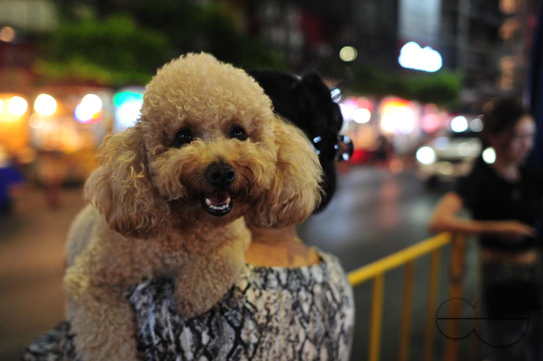 Chinatown in Bangkok is one of the largest Chinatowns in the world, and is renowned for its incredible shopping and tantalizing cuisine