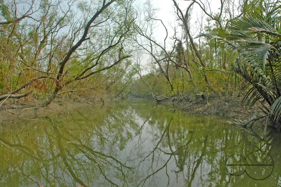 Sundarbans, Khulna, Bangladesh