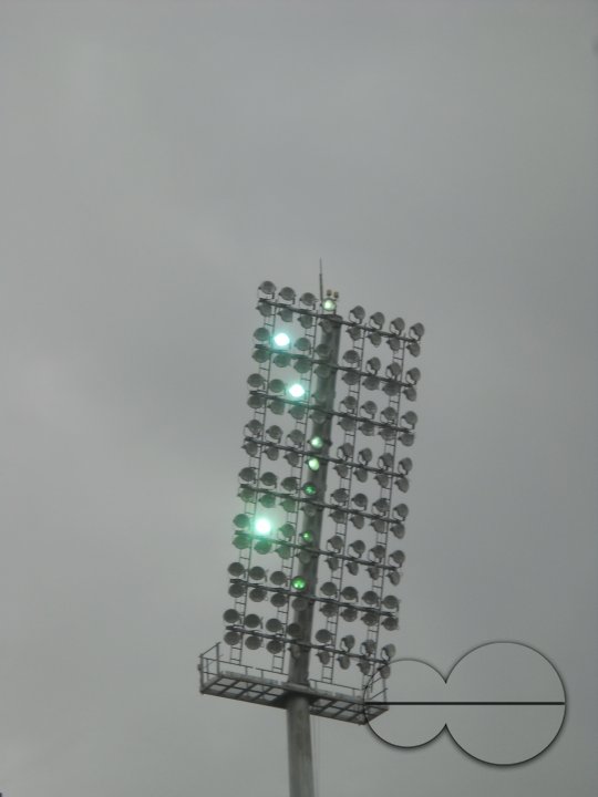 Cricket Fans