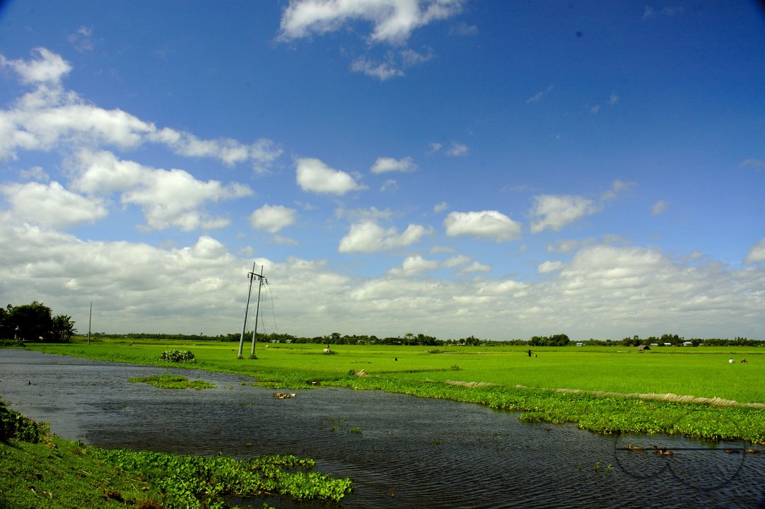MWC003864