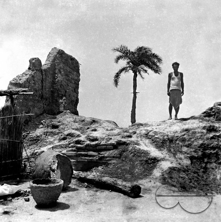 MWC008129