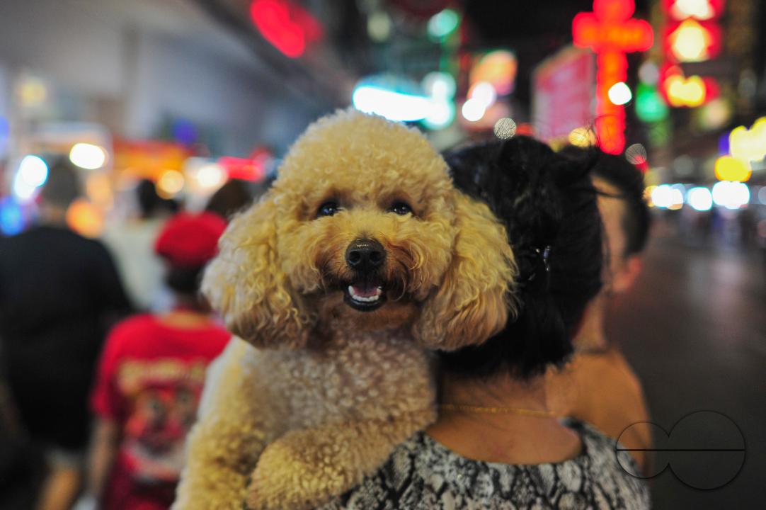 Chinatown in Bangkok is one of the largest Chinatowns in the world, and is renowned for its incredible shopping and tantalizing cuisine