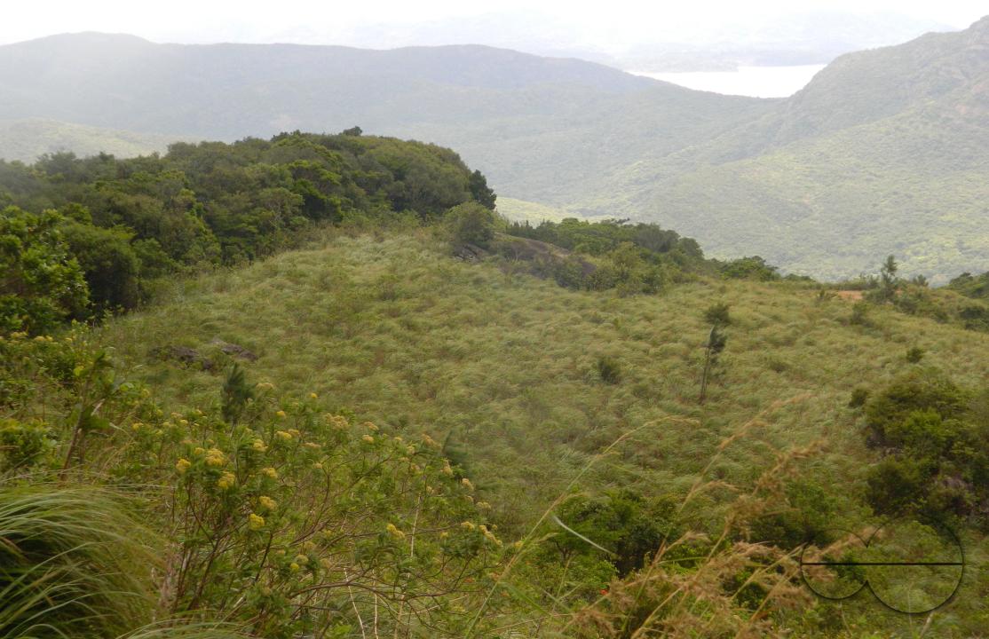 MWC052429
