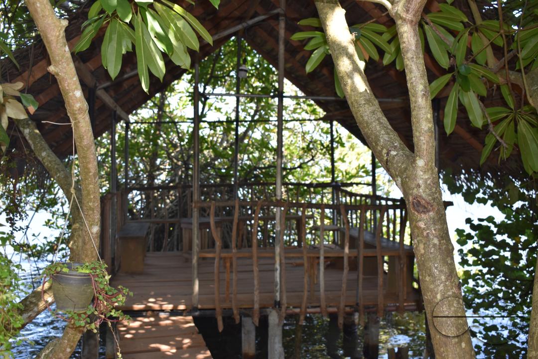MWC051152