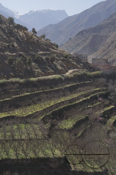 MWC033615