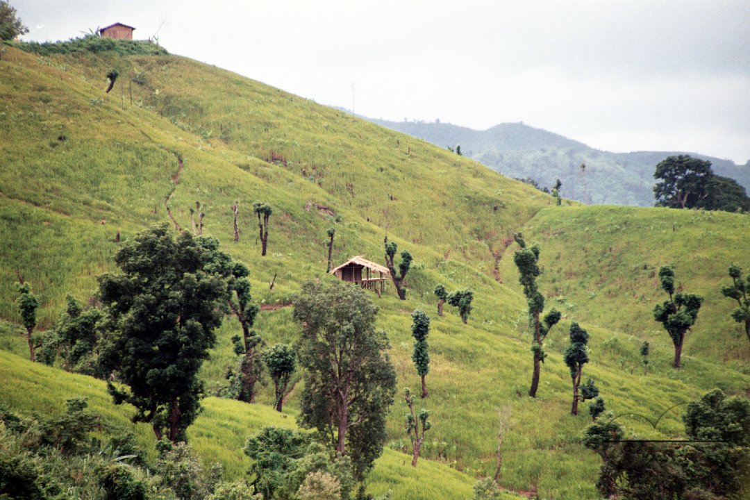 MWC011869