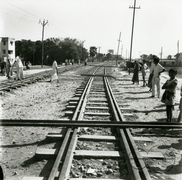 MWC008316